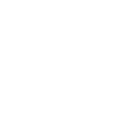 DETAILFORGE